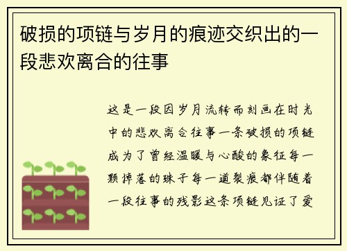 破损的项链与岁月的痕迹交织出的一段悲欢离合的往事